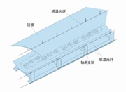 傳送帶及輸煤棧橋的溫度監測方案