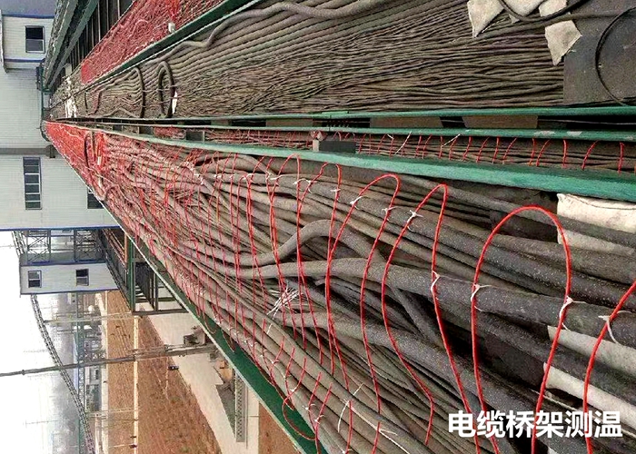 電(diàn)纜橋架、電(diàn)纜溝、電(diàn)纜隧道(dào)溫度監測項目案例